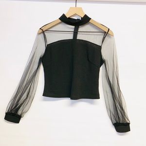 Black Sheer Mesh Long Sleeve Cropped Top Medium – Concert Night Out Clubwear